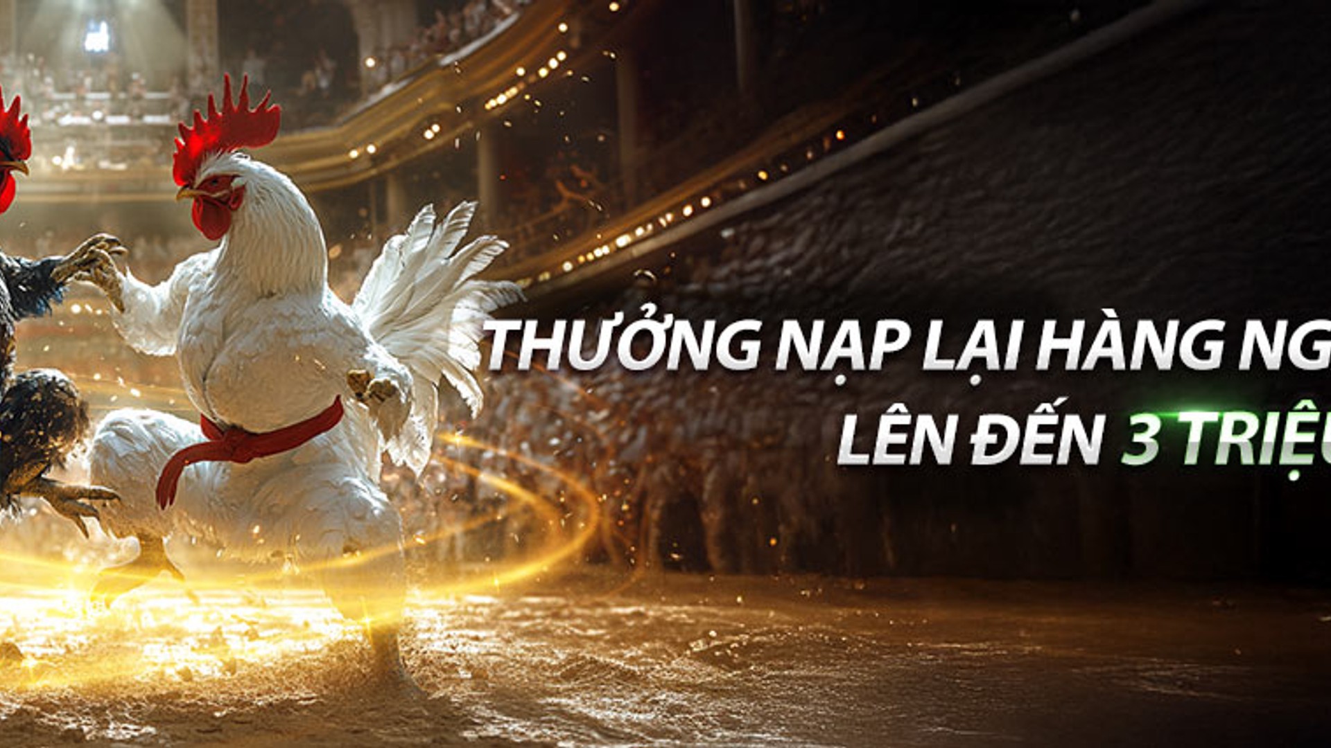 Hình ảnh đá gà trực tiếp tại mcw87