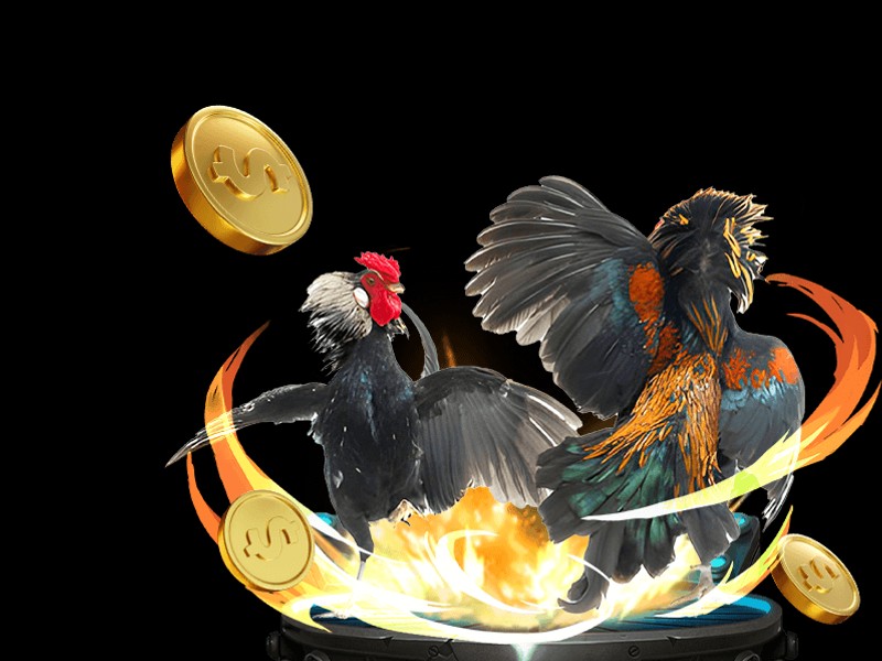 Dragon Tiger Trực Tuyến