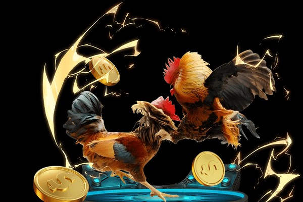 Lời khuyên từ chuyên gia mcw87